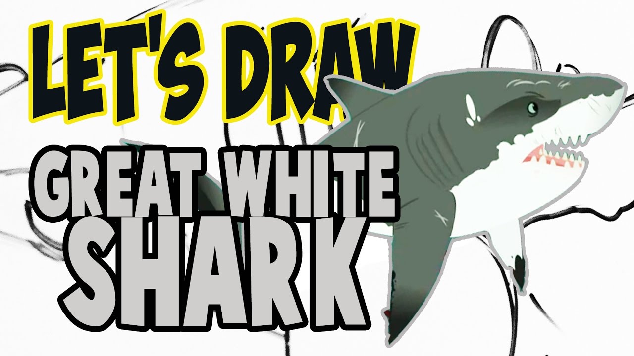 1280x720 Drawing Great White Shark From Wild Kratts! (Basic Shapes