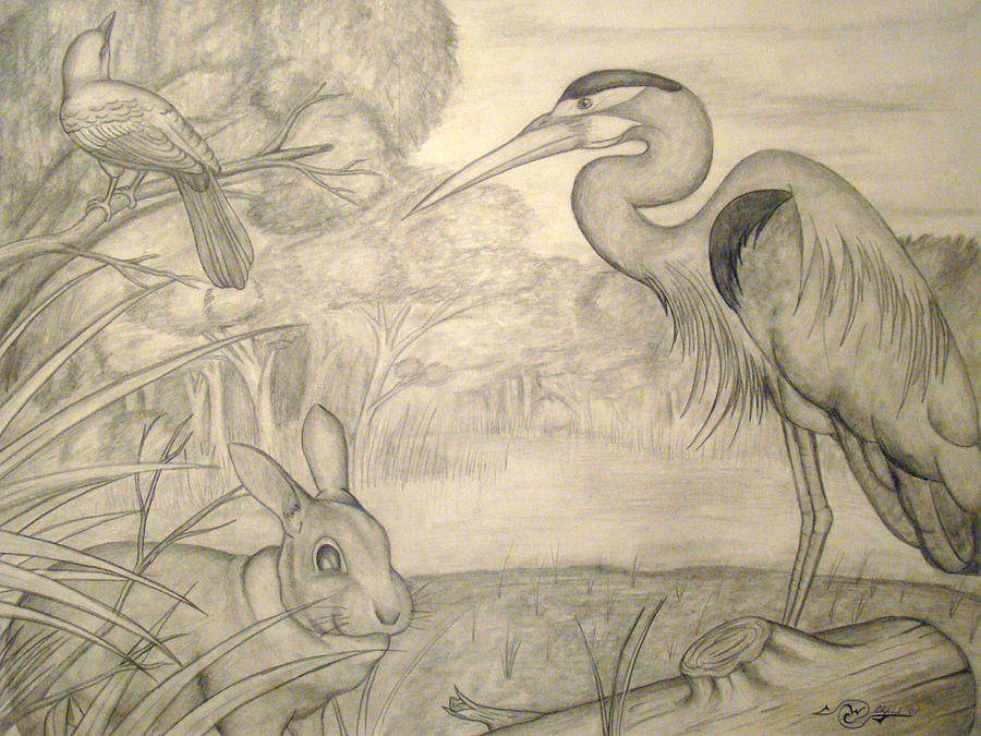 900x675 Florida Wildlife Drawing By Jack Williams Jr