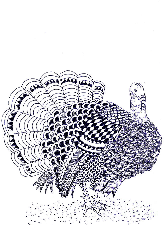 673x900 Wild Turkey Drawing By Sandy Rosen