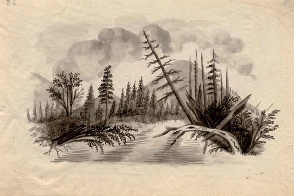 600x401 Untamed Wilderness Crossings And Dwellings