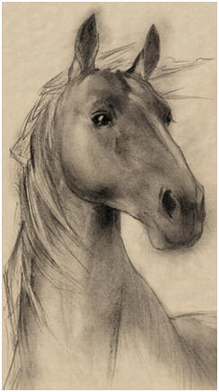 244x437 Free Pet And Animal Drawing Tutorials