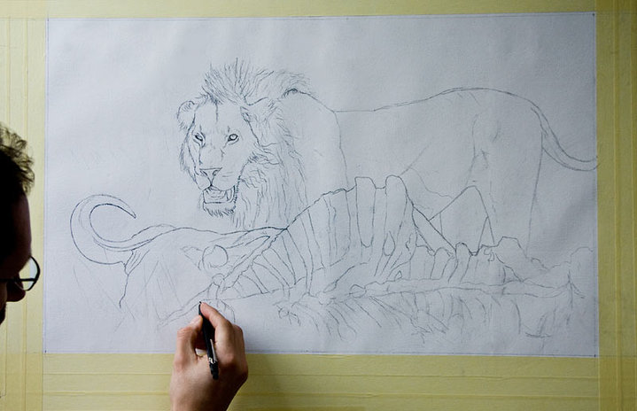 719x464 Lion Painting (Drawing Stage) Wildlife Art How To Draw And Paint