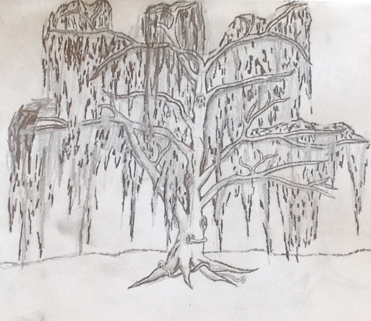 1495x1293 How To Draw A Tree Weeping Willow