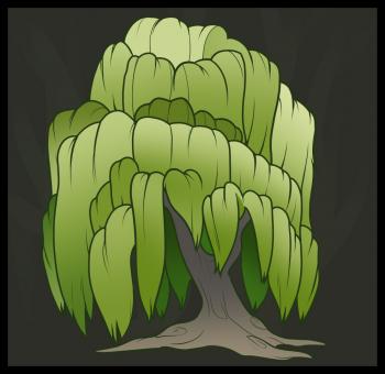 350x340 How To Draw How To Draw A Willow Tree, Weeping Willow