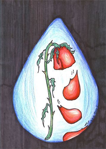 357x500 Wilted Rose Creations