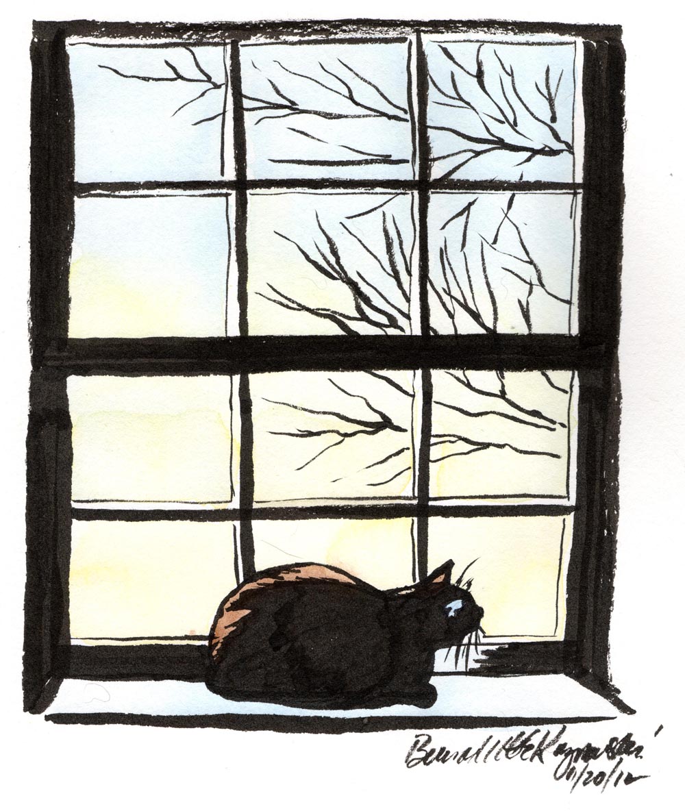 1000x1184 The Creative Cat