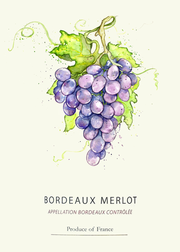 691x968 Amy Holliday Illustration New Fruits Red Amp Green Grapes