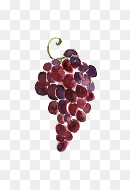 260x380 Grapes Drawing Png And Psd Free Download