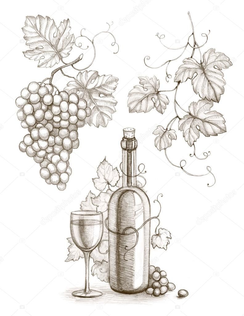 792x1023 Pencil Drawing Of Wine Bottle And Grape Black Amp White, Patterns