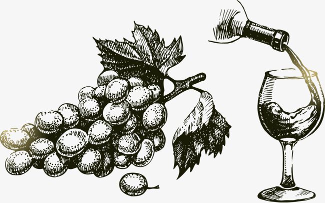 650x405 Vector Line Drawing Painted Grapes And Wine, Vector, Hand Painted