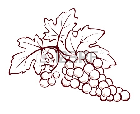 450x366 Watercolor Vector Illustration Background Wine Royalty Free