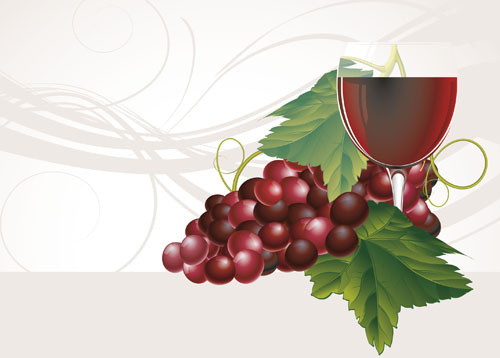 500x358 Wine Grapes Drawing Free Vector Download (90,577 Free Vector)