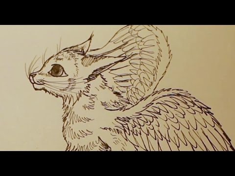 480x360 Winged Cat Drawing