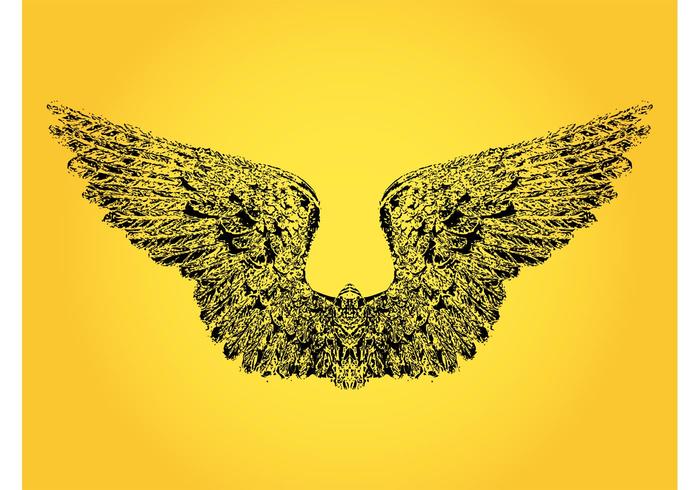 700x490 Bird Wings Drawing