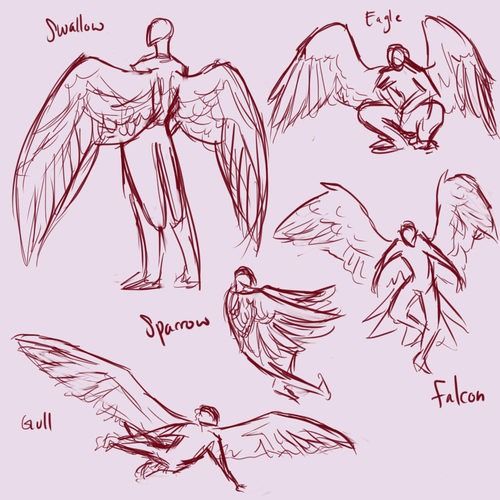 500x500 Wing Reference Art References Drawings, Babies