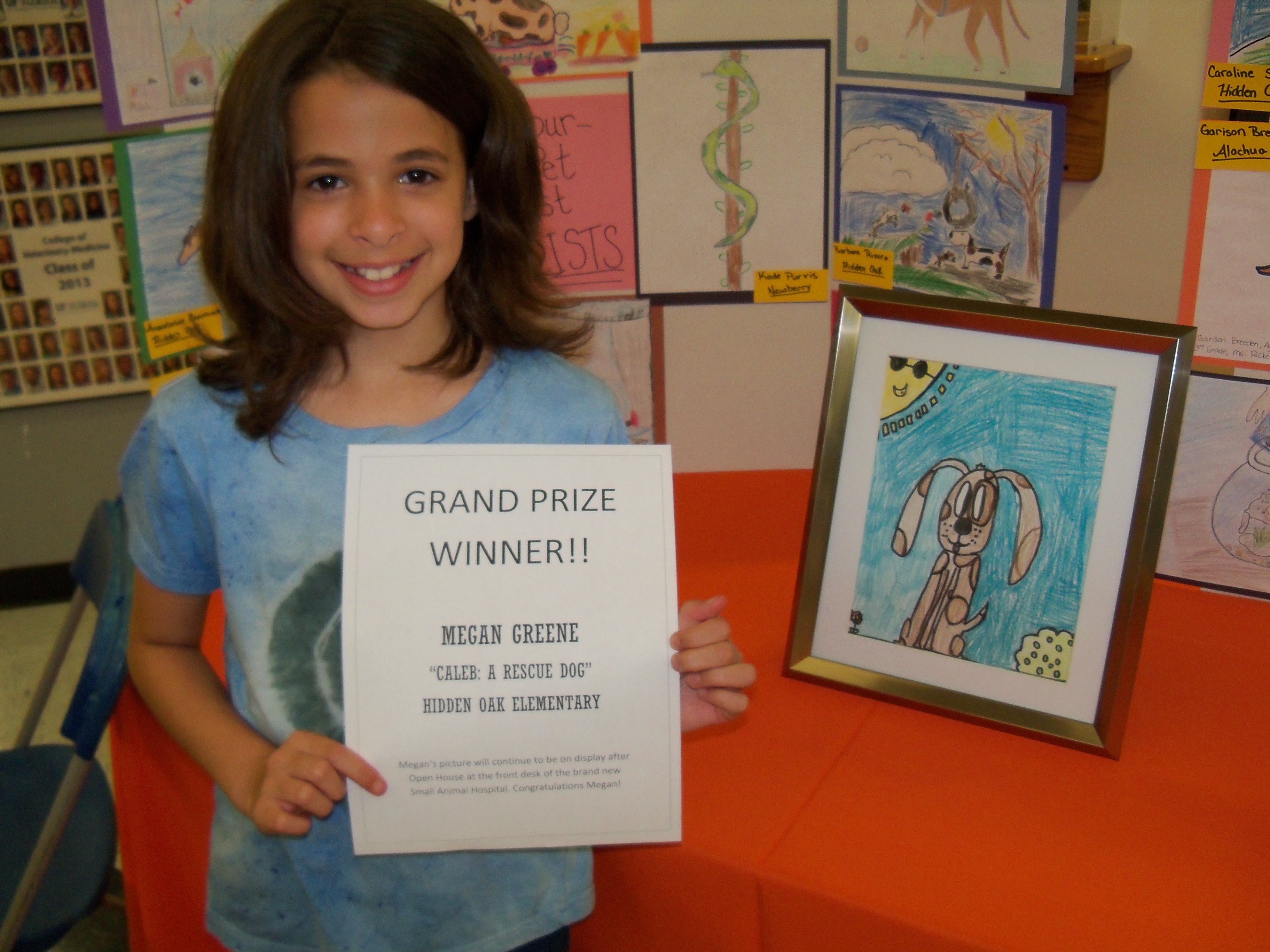 3648x2736 Pictures Award Winning Drawings,