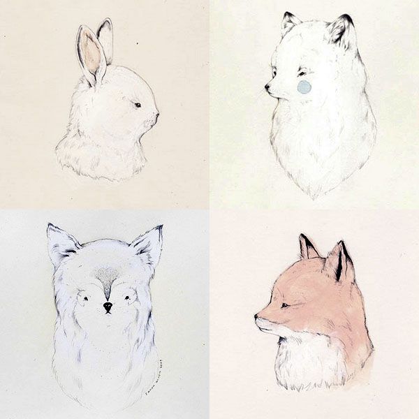600x600 Sarah Mcneil Animal Drawings, Draw And Animal