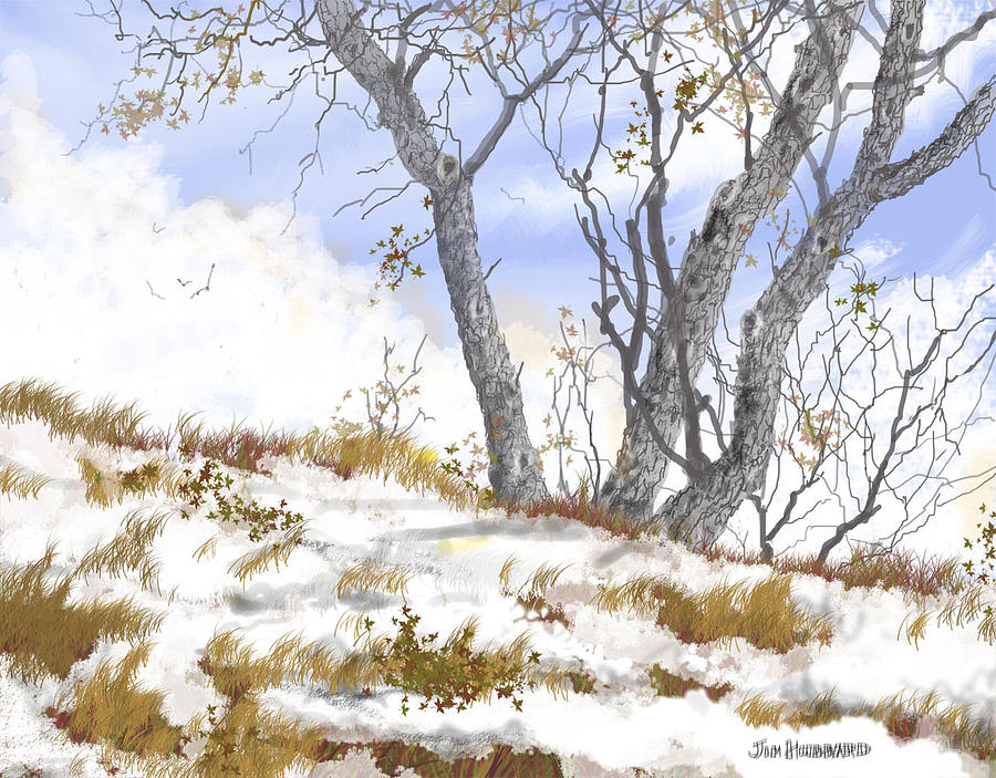 900x703 Winter Landscape 2 Drawing By Jim Hubbard