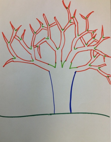 374x480 Organized Chaos Winter Trees