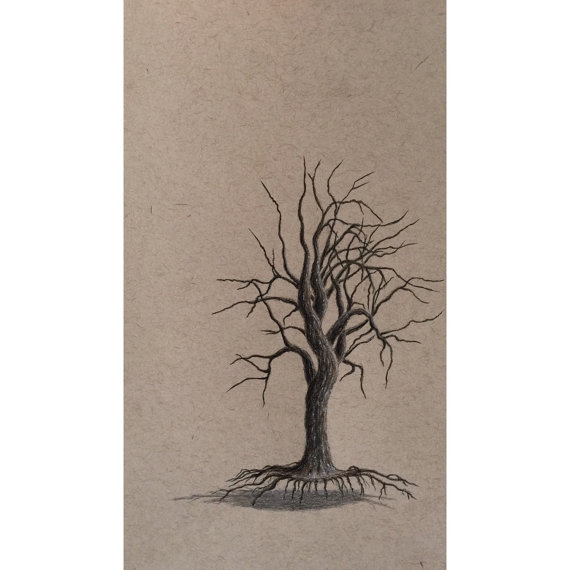 570x570 Dead Tree Colored Pencil Drawing,tree Drawing Winter Tree