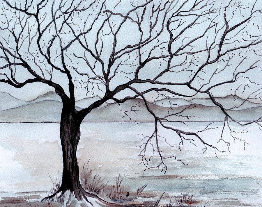 900x712 Pictures How To Paint Winter Trees,