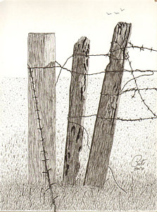 223x300 Barb Wire Fence Drawings Fine Art America
