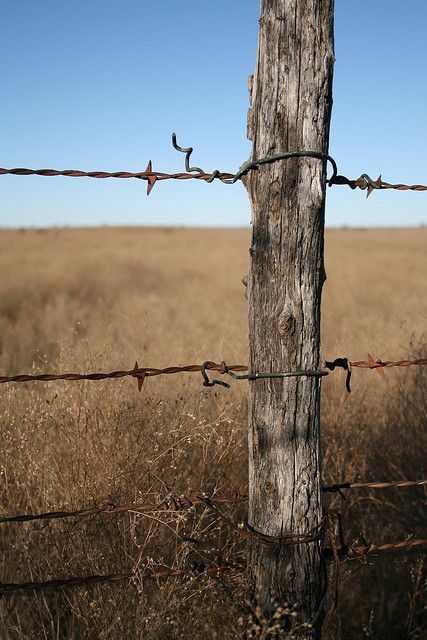 427x640 Barbed Wire Fence I'D Love To Draw This Diyampart Inspiration
