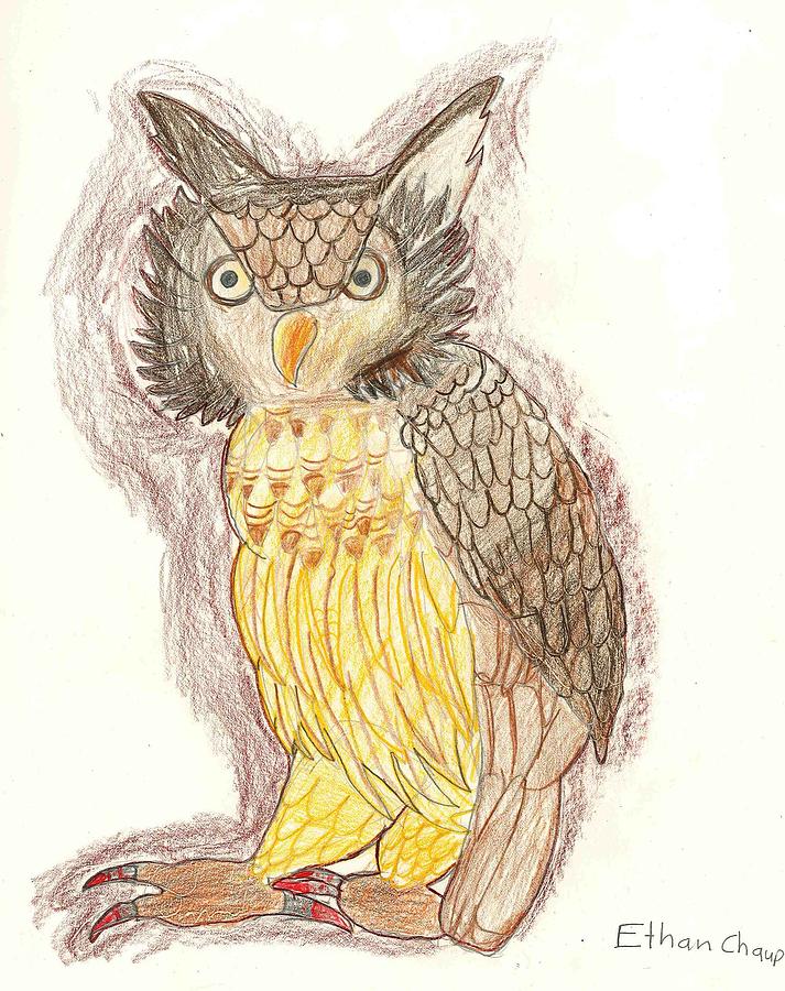 713x900 Wise Owl Drawing By Ethan Chaupiz