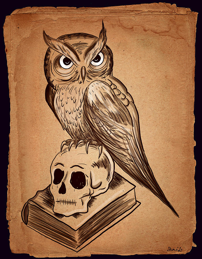 700x900 Wise Owl Drawing By Little Bunny Sunshine