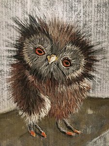 225x300 Wise Owl Drawings Fine Art America