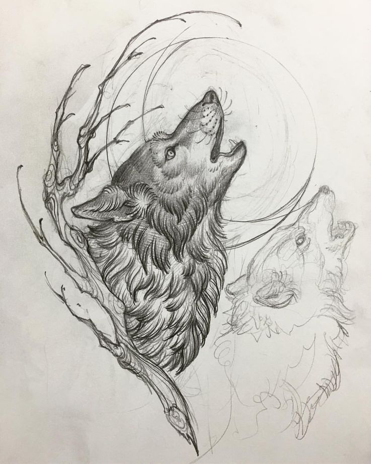 Wolf And Moon Drawing at GetDrawings | Free download