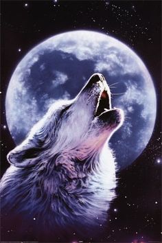 Wolf And Moon Drawing at GetDrawings | Free download