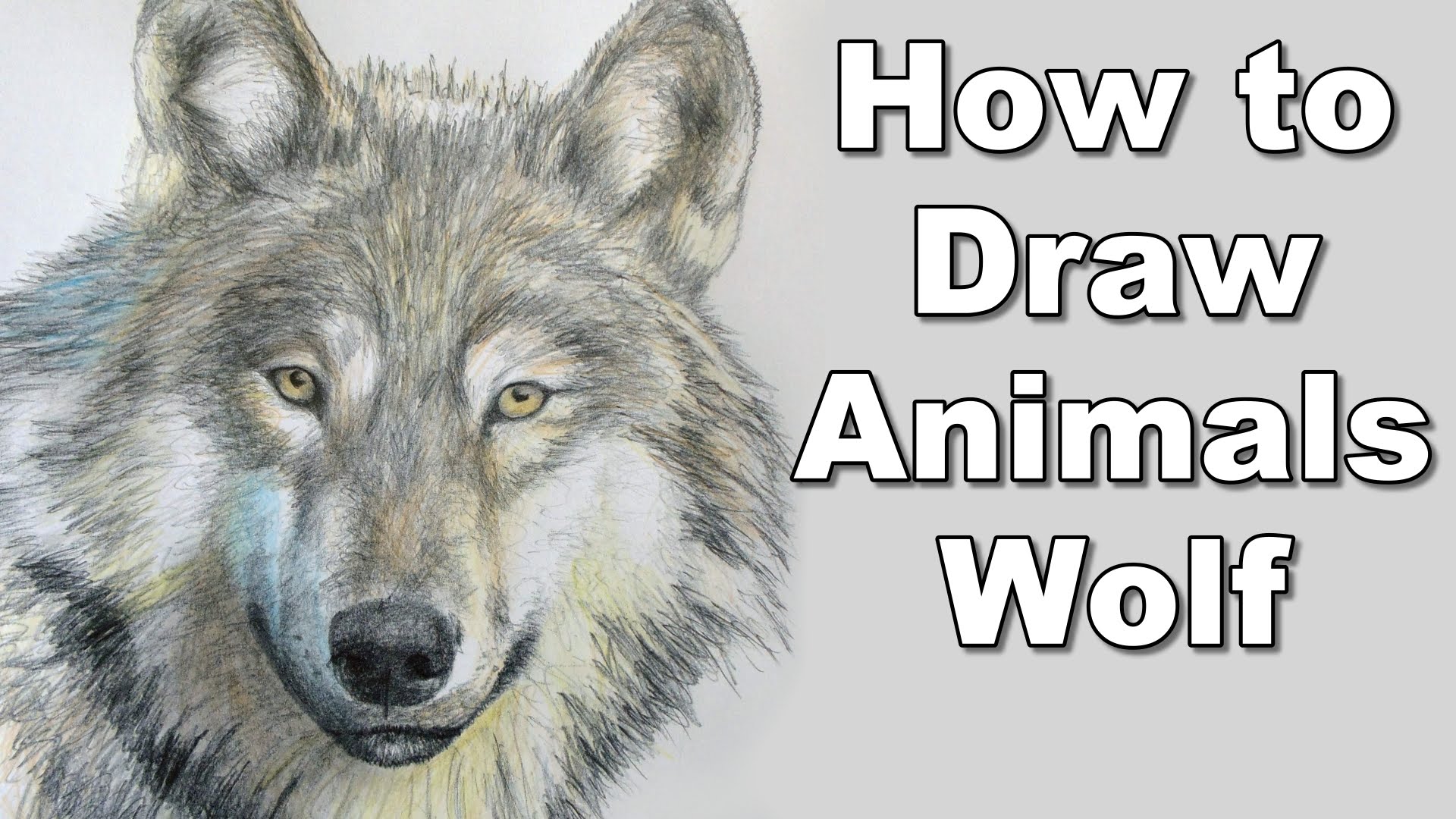 1920x1080 How To Draw A Wolf