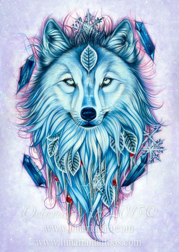 570x803 White Wolf Art