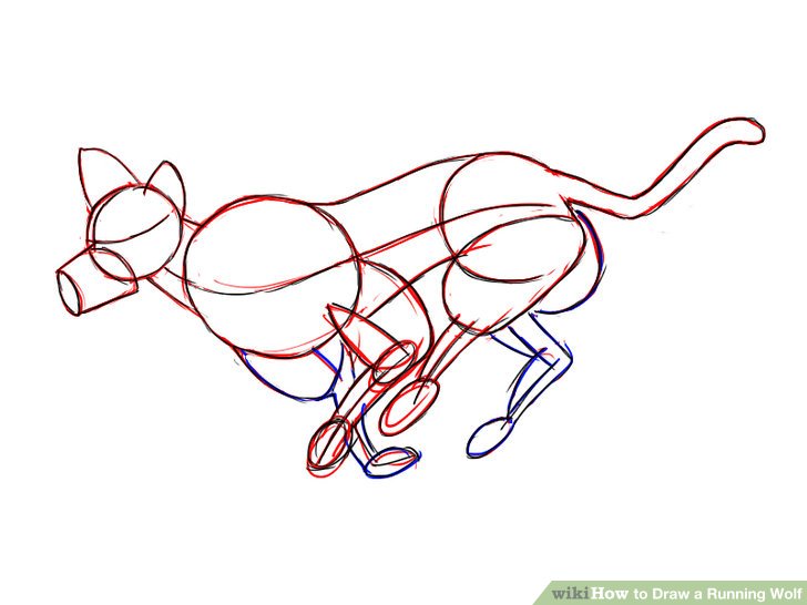 728x546 How To Draw A Running Wolf 7 Steps (With Pictures)