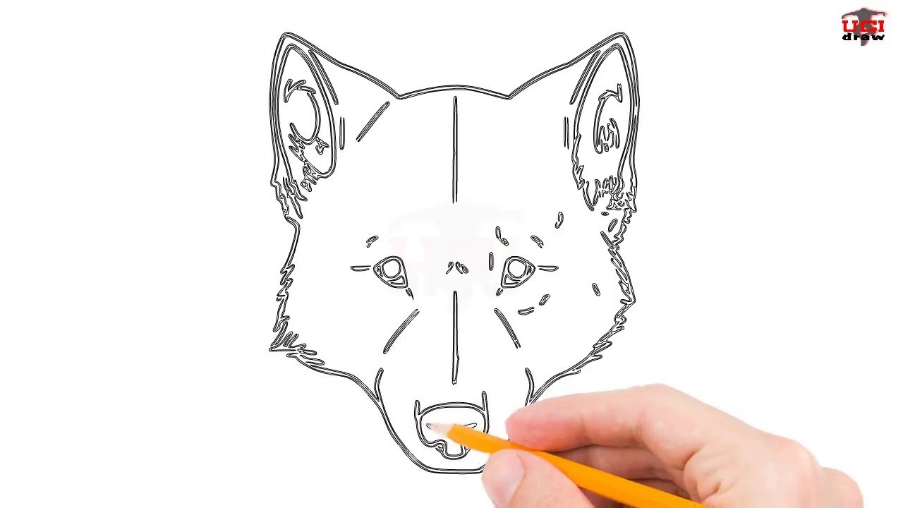 1280x720 How To Draw A Wolf Head Step By Step Easy For Beginners Simple