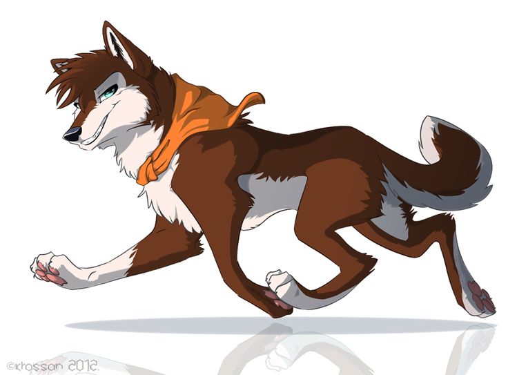 736x543 33 Best Anime Wolf