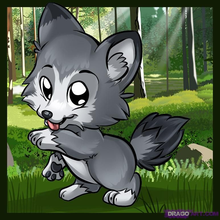 773x773 How To Draw A Cute Wolf Drawing Cartoon Wolf, Wolf
