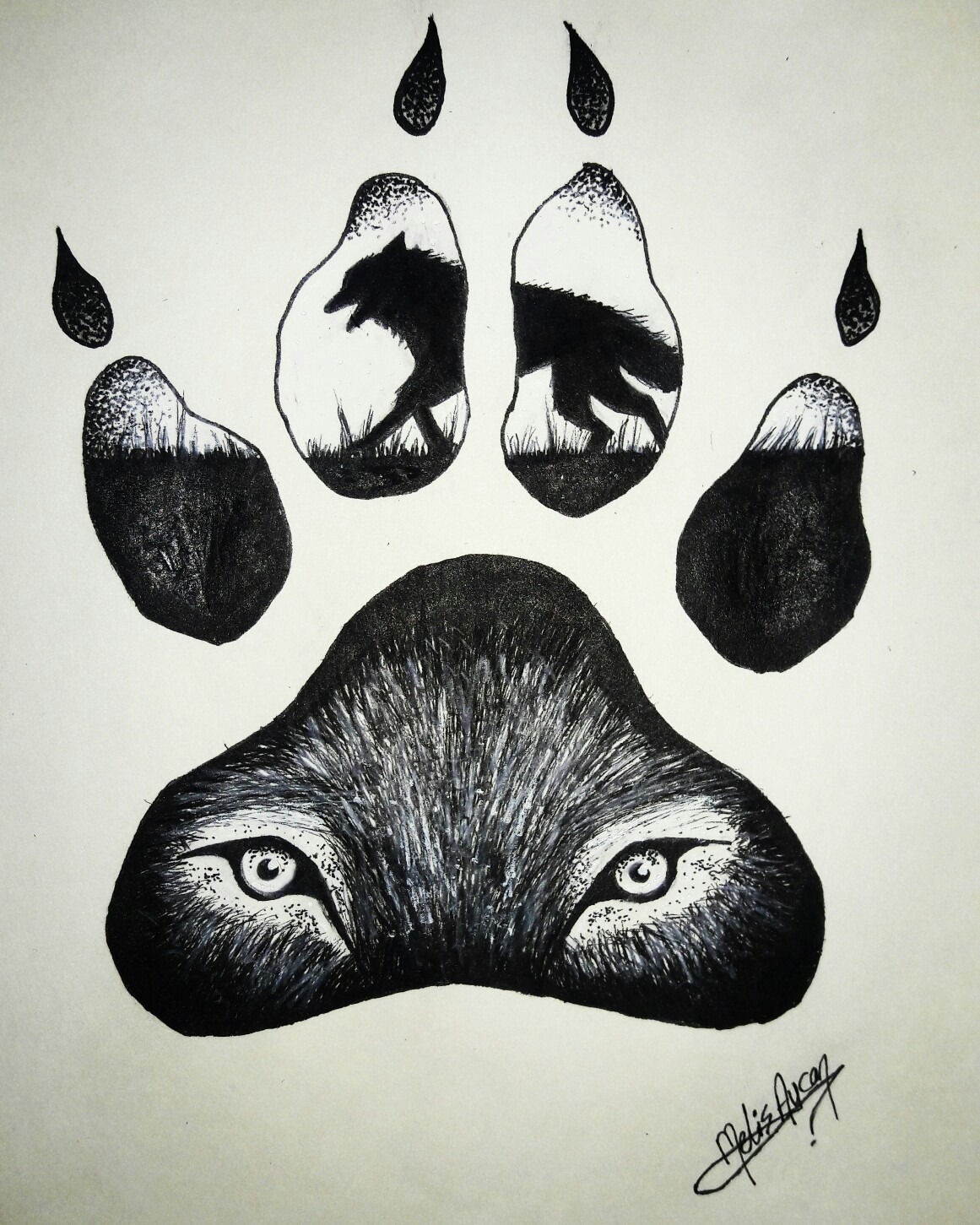1161x1451 Wolf Claw Drawing My Drawings Drawings