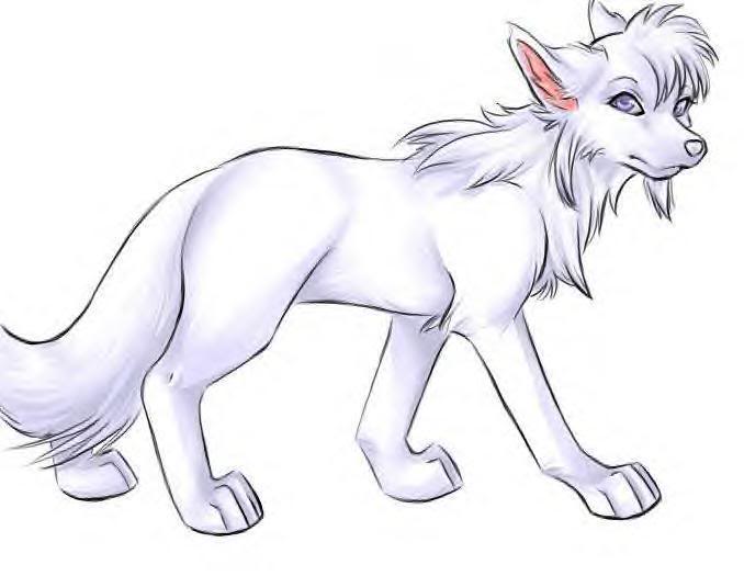 678x525 White Anime Wolf Drawing Drawing Inspiration And Ideas