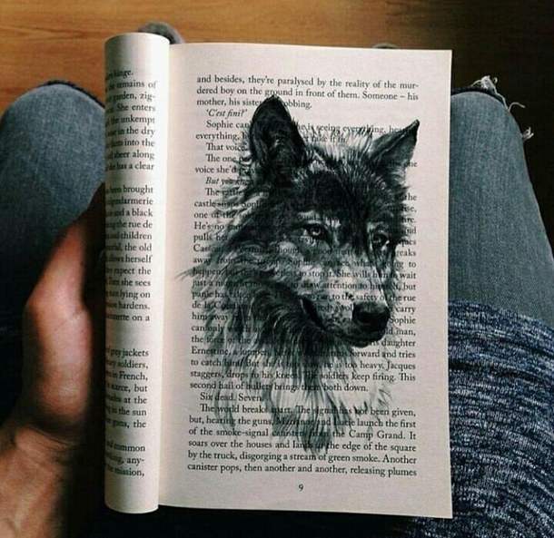 610x593 Beautiful, Book, Drawing, Wolf