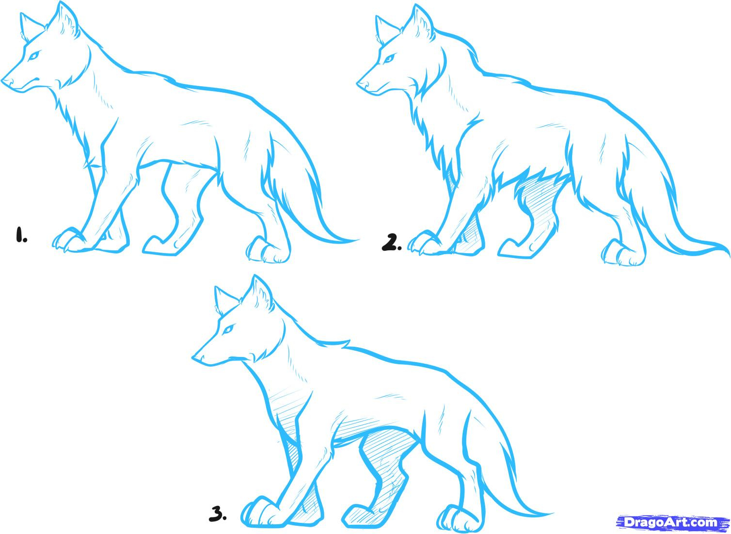 1508x1101 Cartoon Wolf Drawing How To Draw Anime Wolves, Anime Wolves