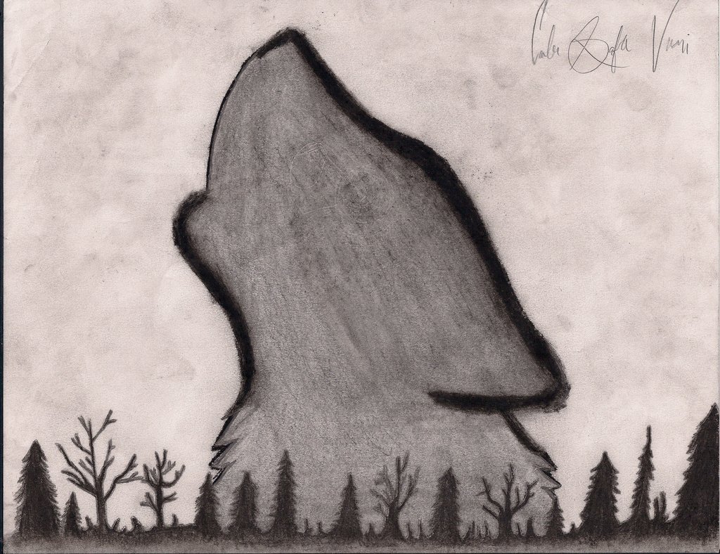 1024x788 Howling Wolf Drawing By Cheshire
