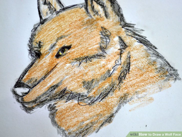 728x546 How To Draw A Wolf Face 8 Steps (With Pictures)