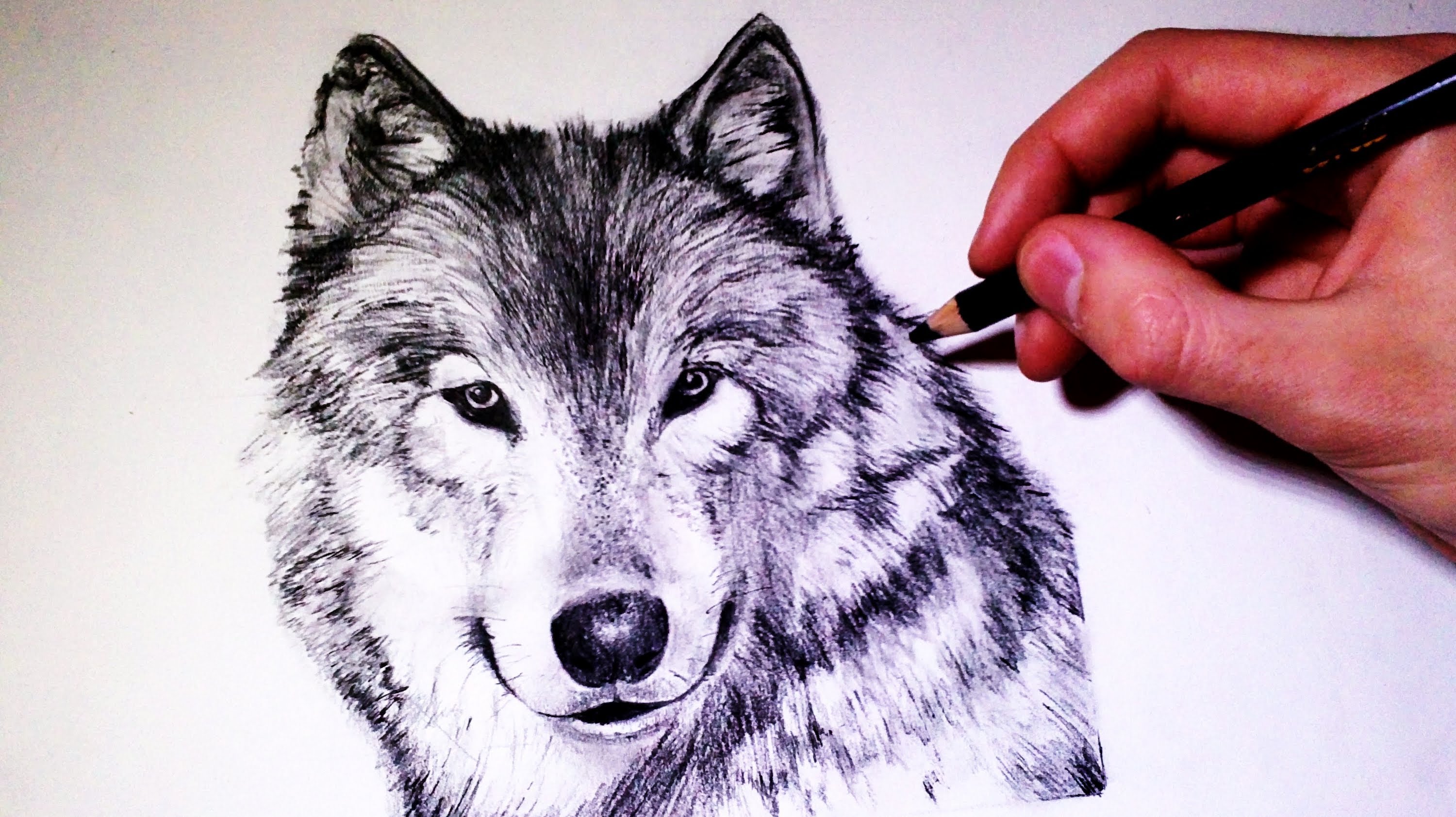 3000x1683 How To Draw A Realistic Wolf