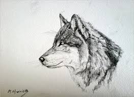 263x192 Image Result For Wolf Drawing Wolves