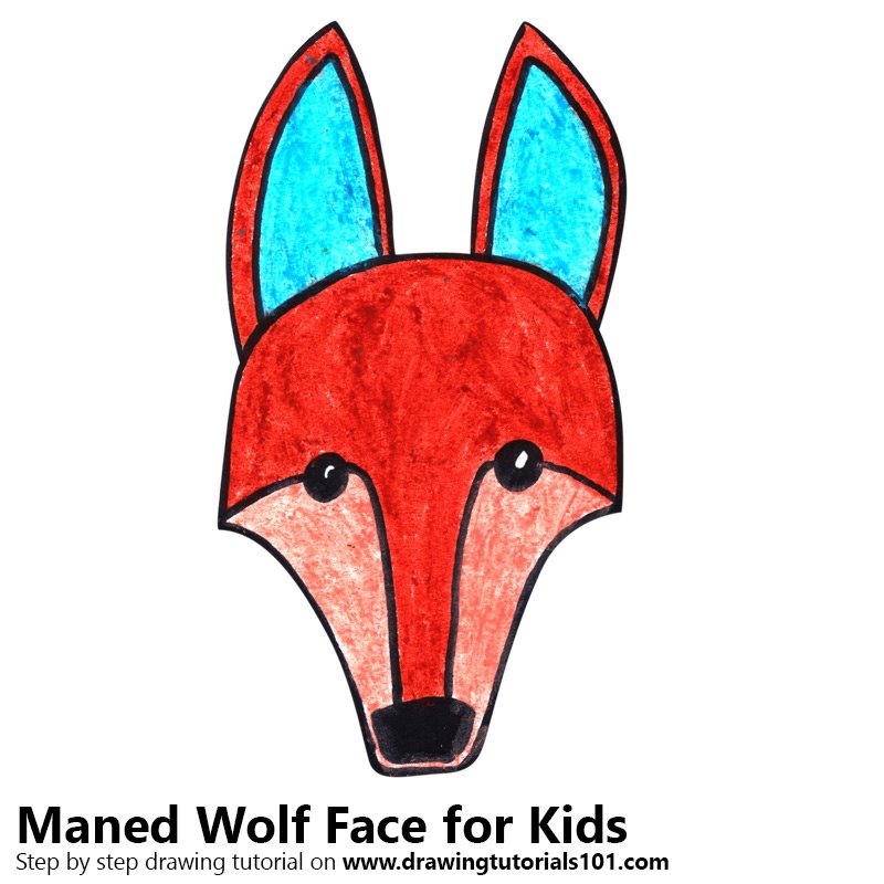 800x800 Learn How To Draw A Maned Wolf Face Kids (Animal Faces