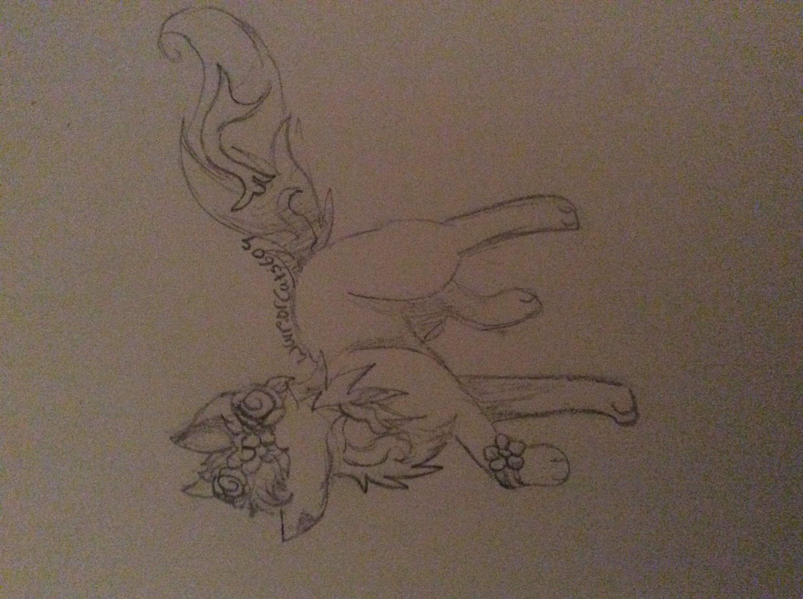 2592x1936 Animal Jam Arctic Wolf Drawing Requested By Kira Claypoole. Drawn