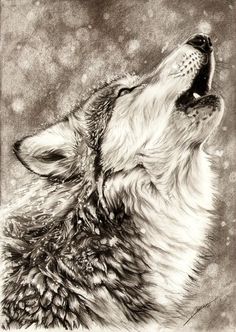 236x332 Beautiful Animal Drawings