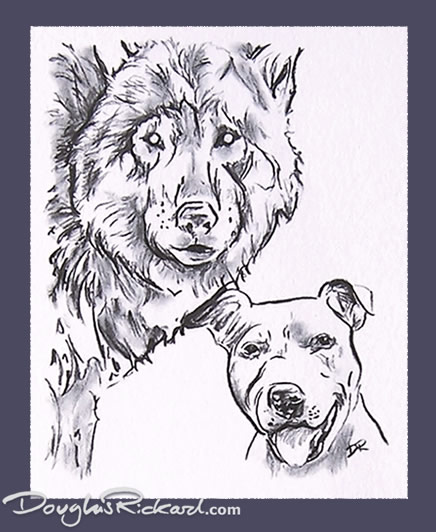 436x532 The Staffordshire Bull Terrier And The Wolf Drawing